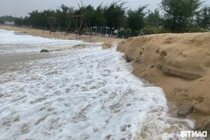 Coastal Erosion in Thua Thien Hue: Communities Brace for Storms - image 1