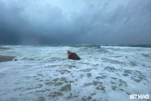 Coastal Erosion in Thua Thien Hue: Communities Brace for Storms - image 7
