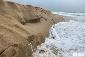 Coastal Erosion in Thua Thien Hue: Communities Brace for Storms - image 6