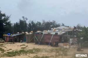 Coastal Erosion in Thua Thien Hue: Communities Brace for Storms - image 5