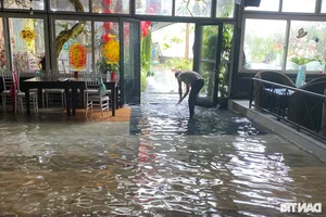 Coastal Erosion in Thua Thien Hue: Communities Brace for Storms - image 9
