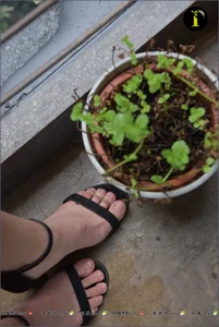 IESS Puhui Collection 003 Featuring Model Qiqi: An Aesthetic Study in Barefoot Portraiture - image 45