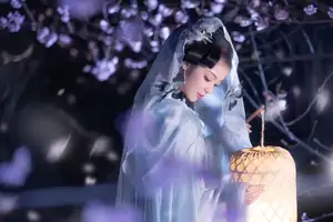 Discover the Ethereal Beauty of Qi Ni Si Mao in YiTuYu Vol.8623: An Asian Muse by Lantern Light - image 2