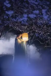 Discover the Ethereal Beauty of Qi Ni Si Mao in YiTuYu Vol.8623: An Asian Muse by Lantern Light - image 29