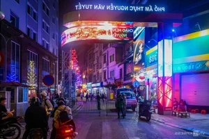 Hanoi's New Food Streets: The Struggle to Attract Local Foodies - image 0