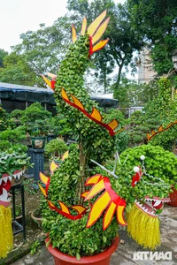 Unique Dragon-Shaped Kumquat Trees: A Masterpiece by a Hanoi Artisan for the Lunar New Year - image 5