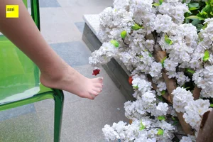 IESS Sixiangjia 235: Zi Zi - Fair Skin and Beautiful Toes Aesthetic - image 44
