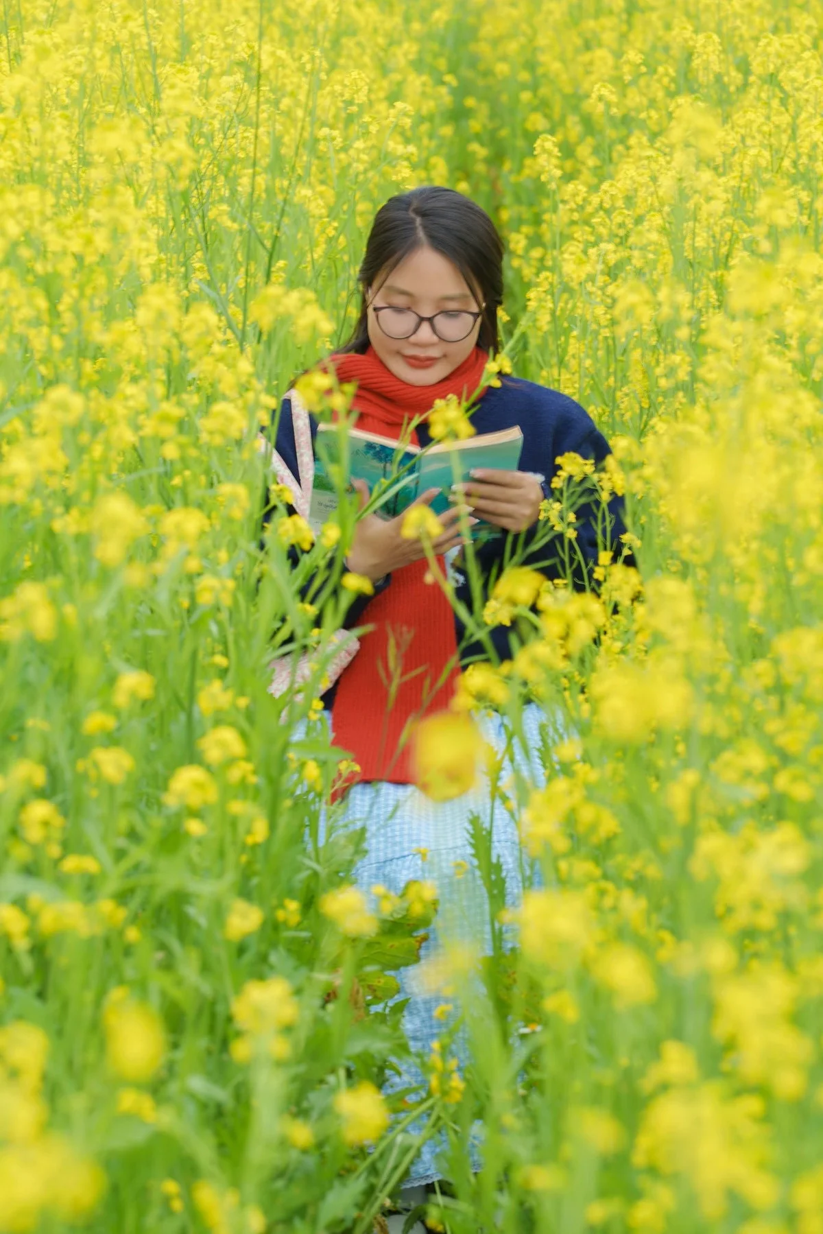 Stunning Yellow Mustard Flower Fields in Da Lat: A Breathtaking Spring Travel Destination in Vietnam's Picturesque Highlands