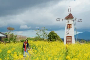 Stunning Yellow Mustard Flower Fields in Da Lat: A Breathtaking Spring Travel Destination in Vietnam's Picturesque Highlands - image 8