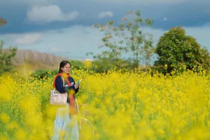Stunning Yellow Mustard Flower Fields in Da Lat: A Breathtaking Spring Travel Destination in Vietnam's Picturesque Highlands - image 6