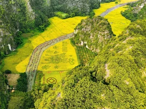 Discover 5 Healing Destinations in Vietnam for a Soul-Soothing Retreat - image 2