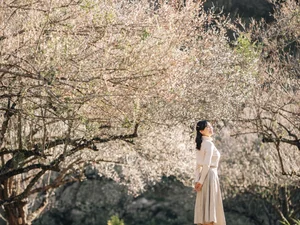 Discover 5 Healing Destinations in Vietnam for a Soul-Soothing Retreat - image 8