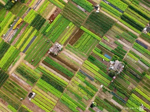 Discover 5 Healing Destinations in Vietnam for a Soul-Soothing Retreat - image 5