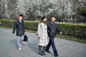North Korea Tourism Update: International Visitors Return to Pyongyang - image 7