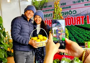 The Vibrant Colors of Da Lat: Exploring the Unique Flower and Vegetable Markets of the Highlands - image 3
