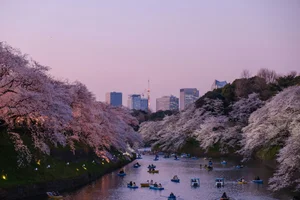 Top 10 Most Attractive Cities in the World for 2024 - image 5