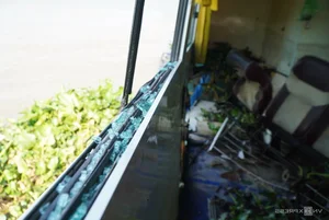 Aftermath of the Tien River Tourist Boat Accident: Damage Assessment and Maritime Safety Insights - image 8
