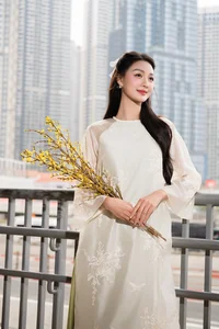 Vietnamese Beauty Queens Showcase Elegant Ao Dai Trends for Spring 2025 - image 13