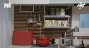 Modern Elegance and Ageless Beauty: A Tour Through the Luxurious Apartment of a Famous Pop Star - image 4