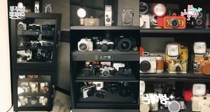 Modern Elegance and Ageless Beauty: A Tour Through the Luxurious Apartment of a Famous Pop Star - image 7