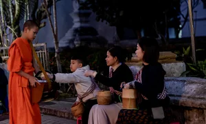 Vietnamese Family Road Trip Adventure: Driving Through Southeast Asia During Tet - image 8