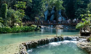Vietnamese Family Road Trip Adventure: Driving Through Southeast Asia During Tet - image 0