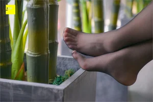 Jie Da Dream Talk 3: IESS Silk Foot Bento Series - image 33