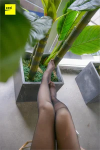 Jie Da Dream Talk 3: IESS Silk Foot Bento Series - image 88