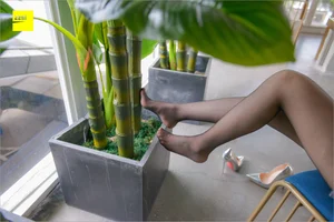 Jie Da Dream Talk 3: IESS Silk Foot Bento Series - image 74