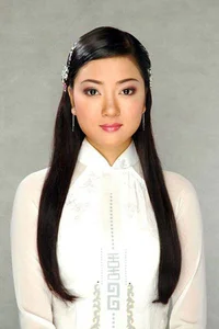 The Evolution of Vietnamese Beauty Icons: Addressing Plastic Surgery Rumors and Timeless Elegance in the Spotlight - image 0