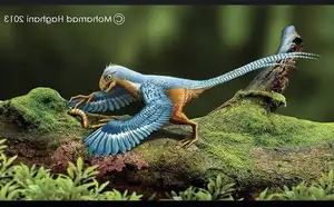 Epidexipteryx Dinosaur: Jurassic Creature with Peacock-like Feathers, Unique Teeth, and Avian Evolution Mystery - image 8