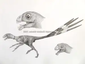 Epidexipteryx Dinosaur: Jurassic Creature with Peacock-like Feathers, Unique Teeth, and Avian Evolution Mystery - image 6