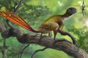Epidexipteryx Dinosaur: Jurassic Creature with Peacock-like Feathers, Unique Teeth, and Avian Evolution Mystery - image 0