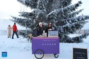 Discover Rovaniemi Finland: A magical winter wonderland in Santa's homeland - image 5