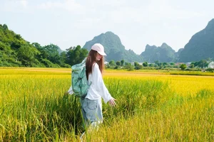 Ho Ngoc Ha Promotes Quang Binh Tourism as Cultural Ambassador - image 3