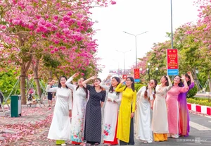 Exploring the 'Most Beautiful Pink Trumpet Tree Road' in Vietnam's Mekong Delta - image 5