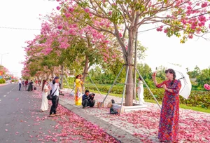 Exploring the 'Most Beautiful Pink Trumpet Tree Road' in Vietnam's Mekong Delta - image 1