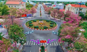 Exploring the 'Most Beautiful Pink Trumpet Tree Road' in Vietnam's Mekong Delta - image 8