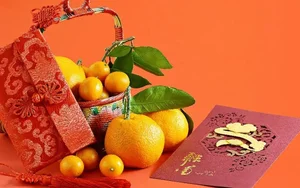 Traditional Chinese New Year Food: Symbolism and Must-Try Dishes for Prosperity - image 6