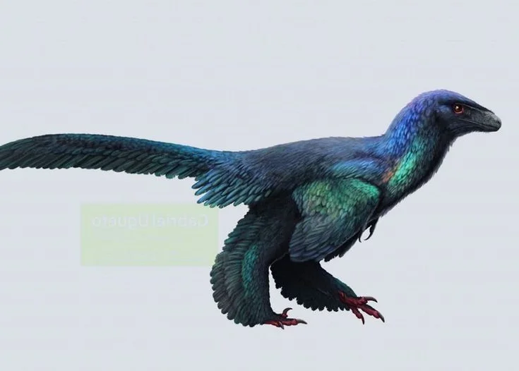 Unveiling the Most Vibrant Dinosaur: Feathered Evidence of Ancient Bird Evolution