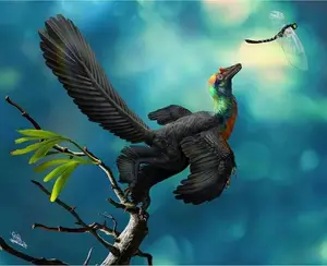 Unveiling the Most Vibrant Dinosaur: Feathered Evidence of Ancient Bird Evolution - image 2