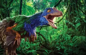 Unveiling the Most Vibrant Dinosaur: Feathered Evidence of Ancient Bird Evolution - image 6