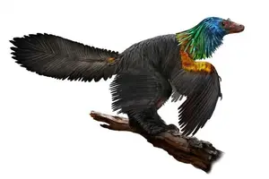 Unveiling the Most Vibrant Dinosaur: Feathered Evidence of Ancient Bird Evolution - image 4