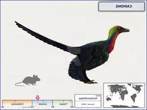 Unveiling the Most Vibrant Dinosaur: Feathered Evidence of Ancient Bird Evolution - image 7