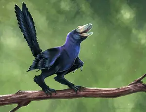 Unveiling the Most Vibrant Dinosaur: Feathered Evidence of Ancient Bird Evolution - image 3