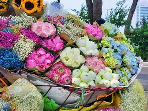 Autumn in Hanoi: Must-Try Local Delicacies for Every Traveler - image 8