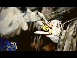 The Dark Reality Behind Luxury Delicacies: The Ethical Cost of High-End Dining - image 0