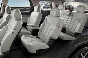 2026 Hyundai Palisade High Roof: The Ultimate Land Private Jet Experience - image 4