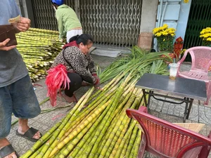The Unique Once-a-Year Sugarcane Market Tradition in Ho Chi Minh City - image 5
