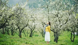 Top 5 Enchanting Destinations for Your Lunar New Year Tet Holiday Check-In - image 9